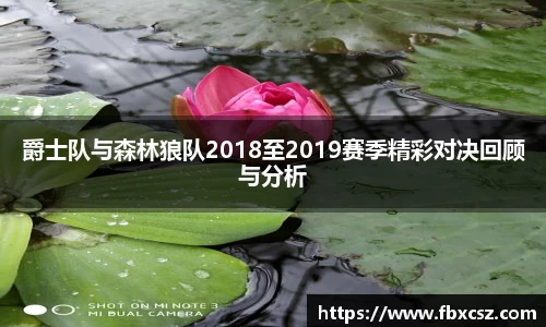 爵士队与森林狼队2018至2019赛季精彩对决回顾与分析